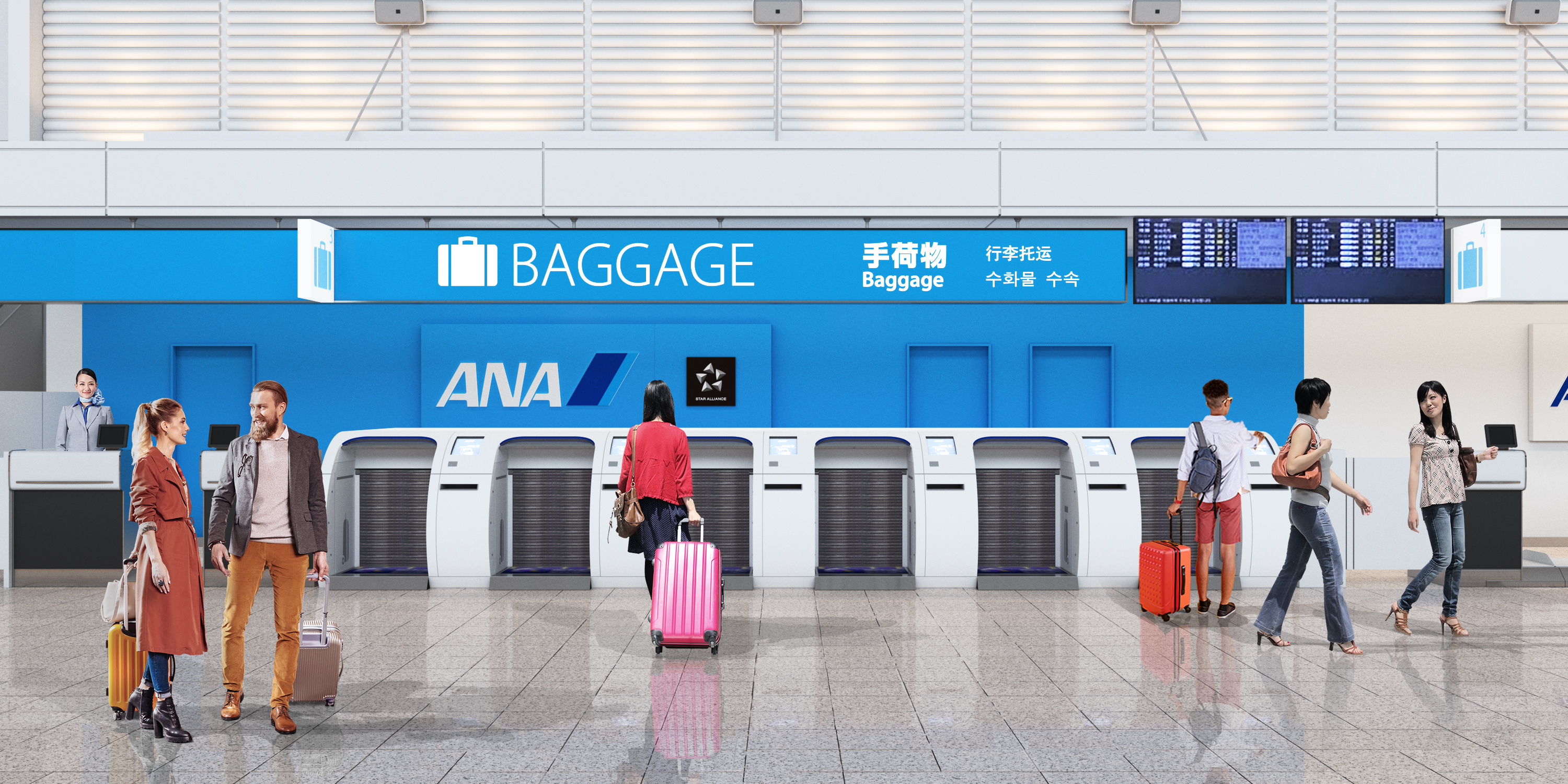 ana baggage