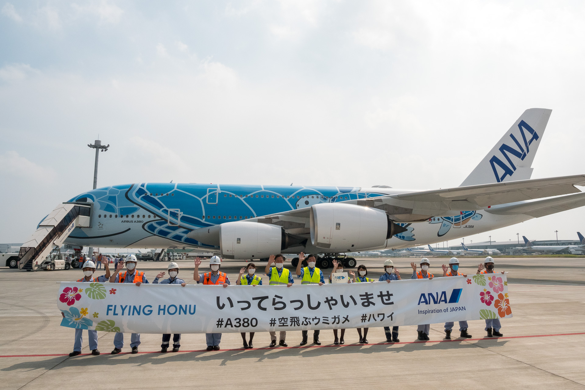 ANA、エアバス A380型機「FLYING HONU」による遊覧飛行実施。定員の約150倍が応募した激レアフライトに - トラベル Watch