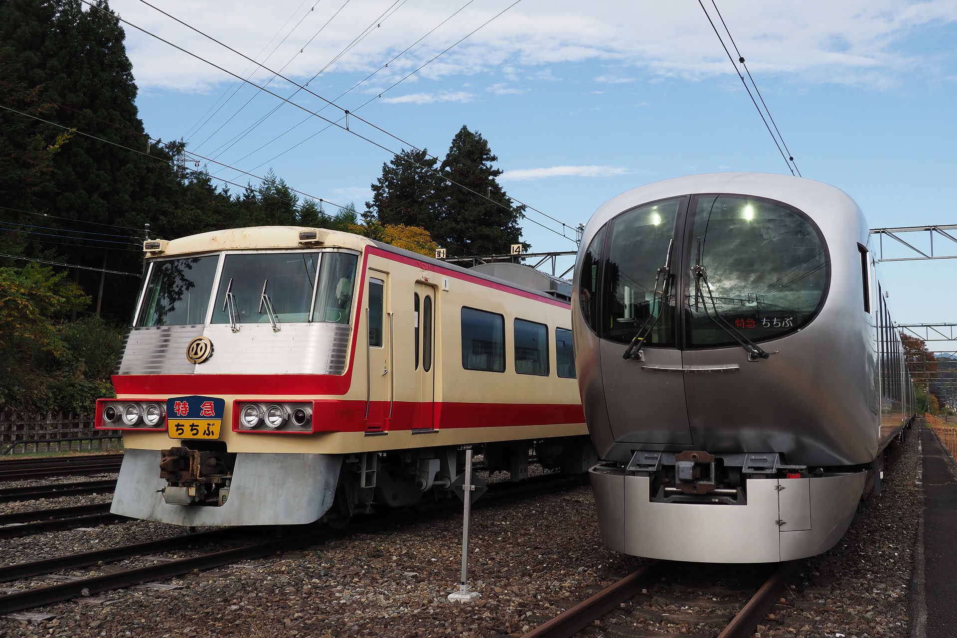 レッドアローとLaviewが並んだ！ ブルーリボン受賞記念の「車両基地