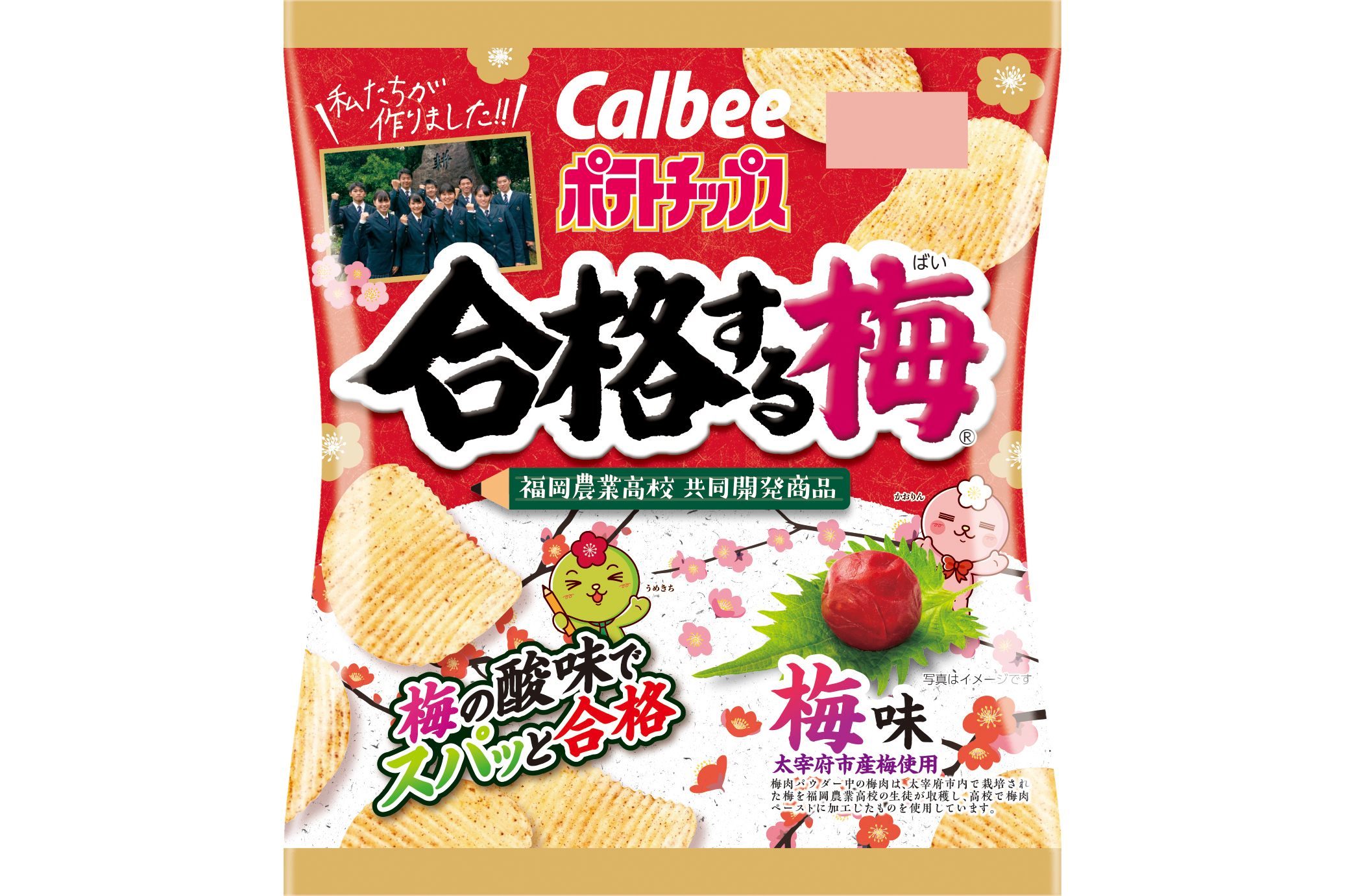 カルビー 福岡農業高校と共同開発した ポテトチップス合格する梅 ばい 梅味 中国 四国 九州エリア限定で12月14日発売 トラベル Watch