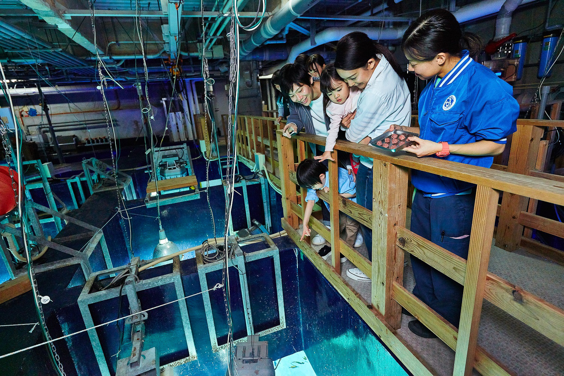 サンシャイン水族館21年オリジナル福袋 発売 コツメカワウソ飼育体験などが当たるチャンス トラベル Watch