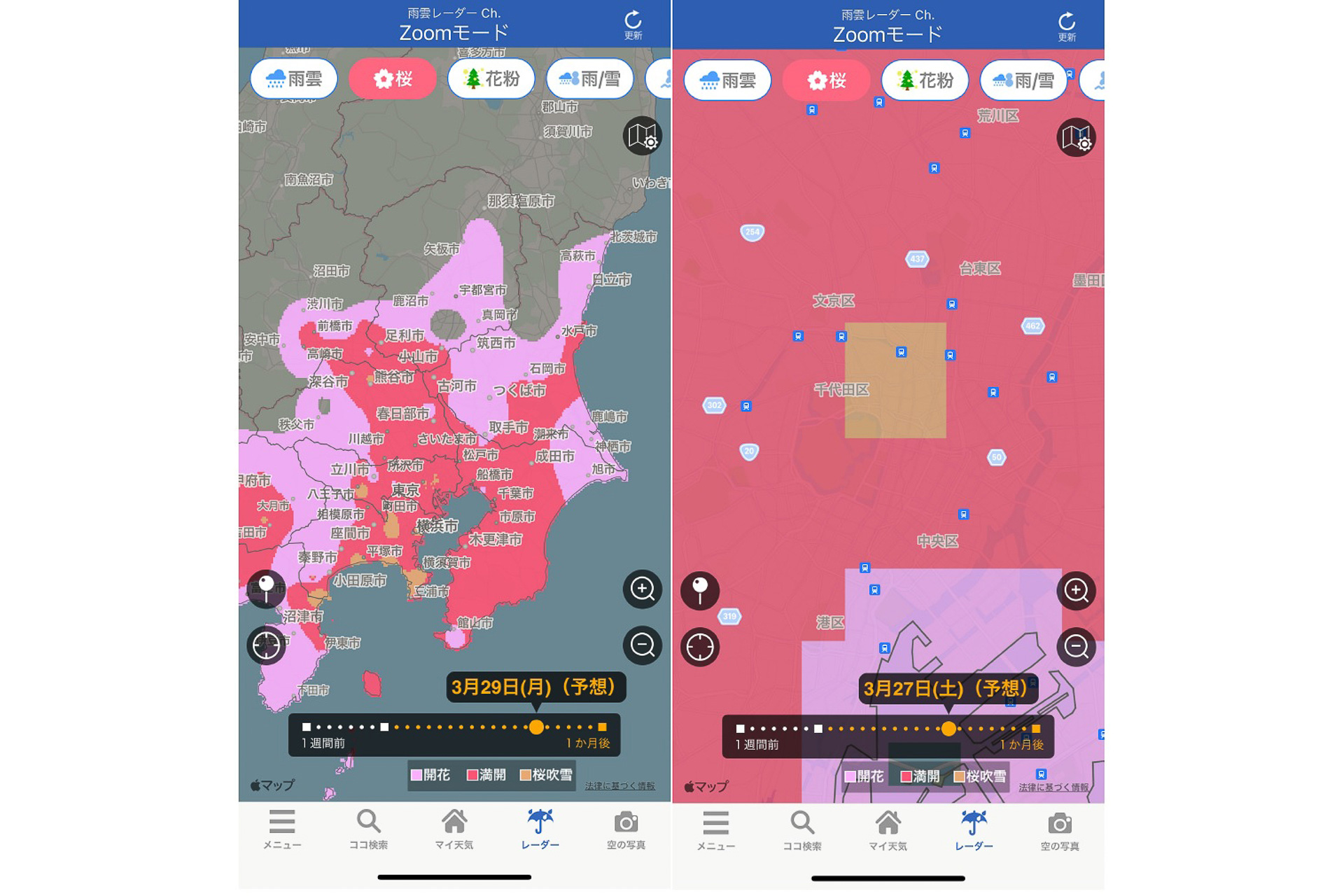 ウェザーニューズ、桜の見頃エリアが分かる「桜レーダー」をアプリで