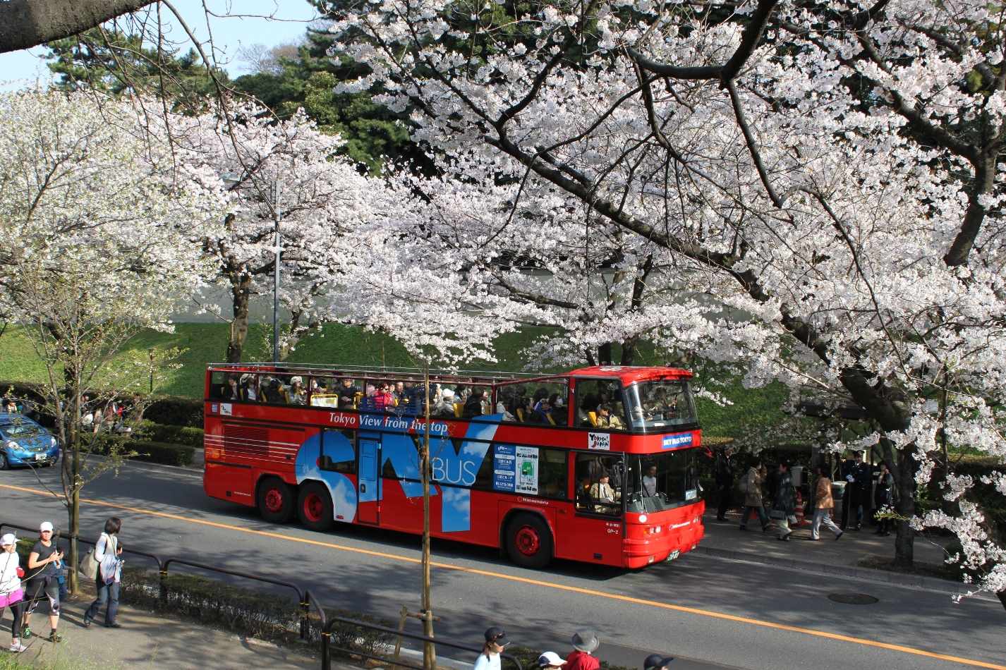 2階建てオープンバス スカイバス東京 と水陸両用バス スカイダック が 桜week スタート オープンエアで花見を楽しむ トラベル Watch