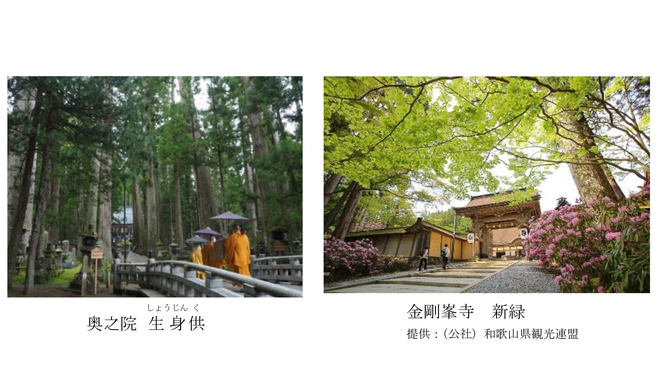 京阪と南海 京都 高野山の直通高速バスを4月23日 11月28日運行 トラベル Watch
