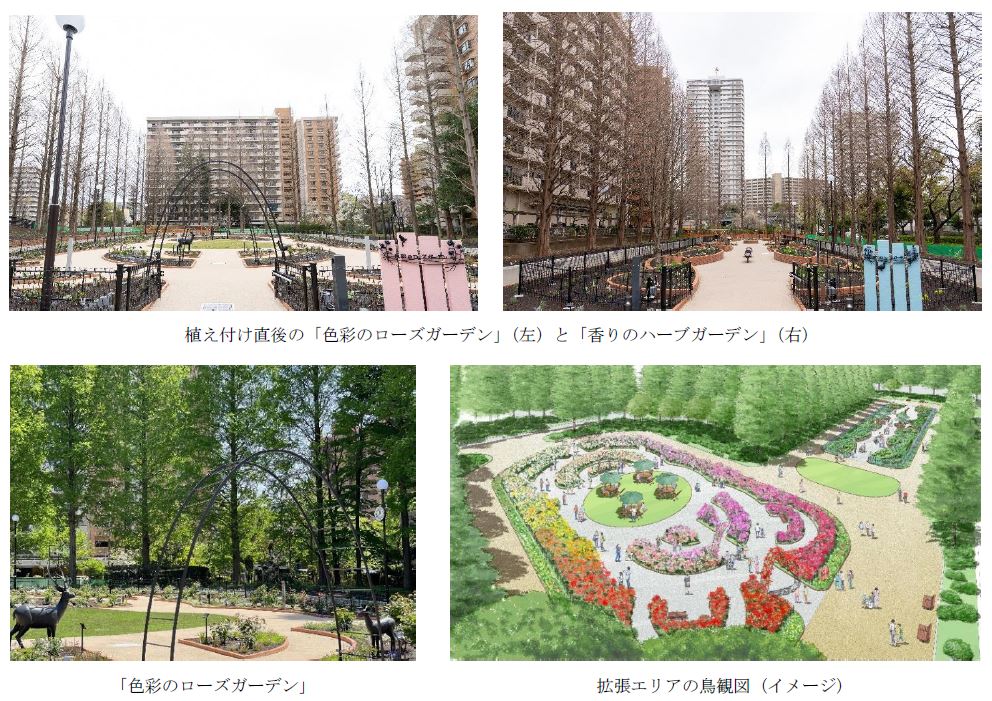 四季の香 ローズガーデン 約10倍に拡張リニューアル 2つのエリアを新設 トラベル Watch