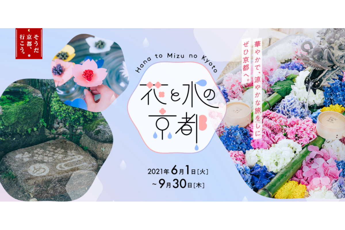 JR東海、京都7社寺の手水舎を花と水で彩る夏イベント 「そうだ 京都、行こう。」の新キャンペーン - トラベル Watch