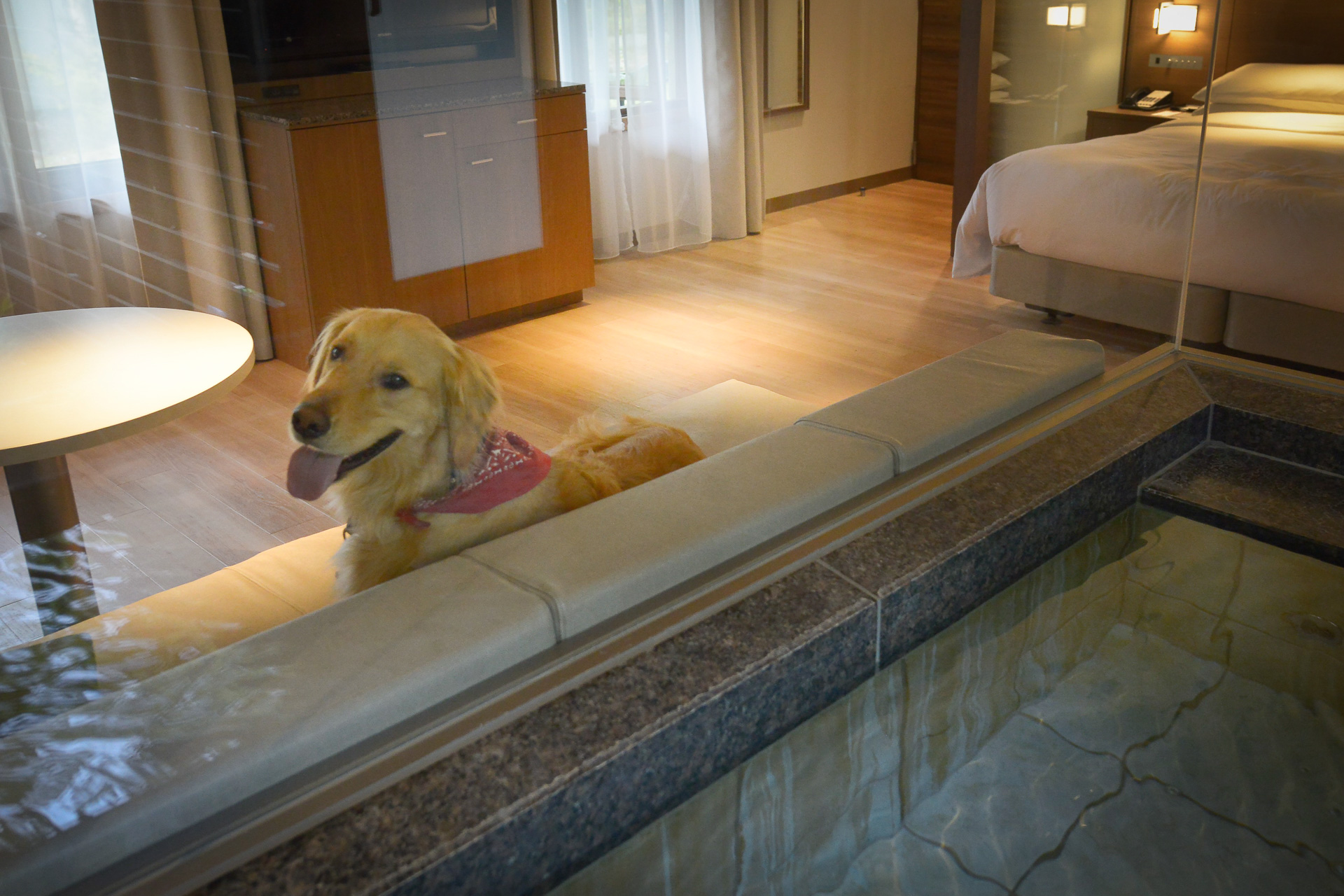 愛犬と過ごせる温泉付き客室などを拡充 東京マリオットホテルほか トラベル Watch