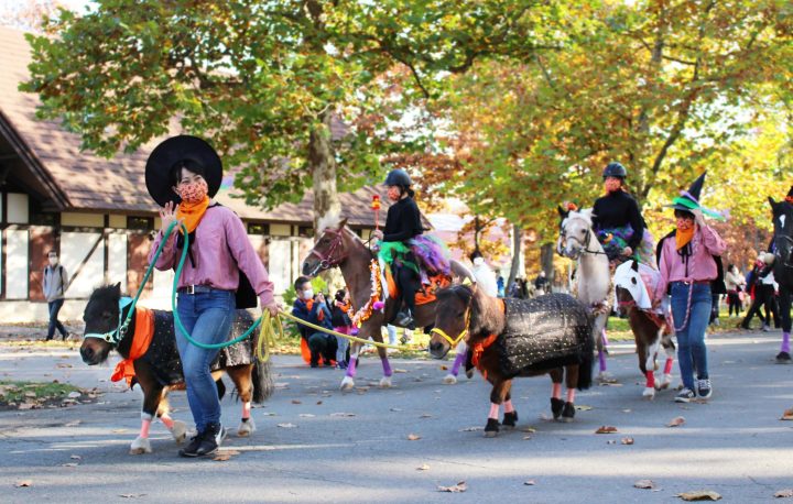 ノーザンホースパーク ハロウィン21 10月16日 31日 ホースパレードやお菓子がもらえるクイズ ハロウィンかぼちゃづくりなど トラベル Watch