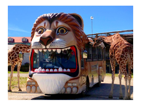 那須サファリパーク ライオンバス サファリカーなど乗りもの無料 栃木 茨城 埼玉県民限定 トラベル Watch