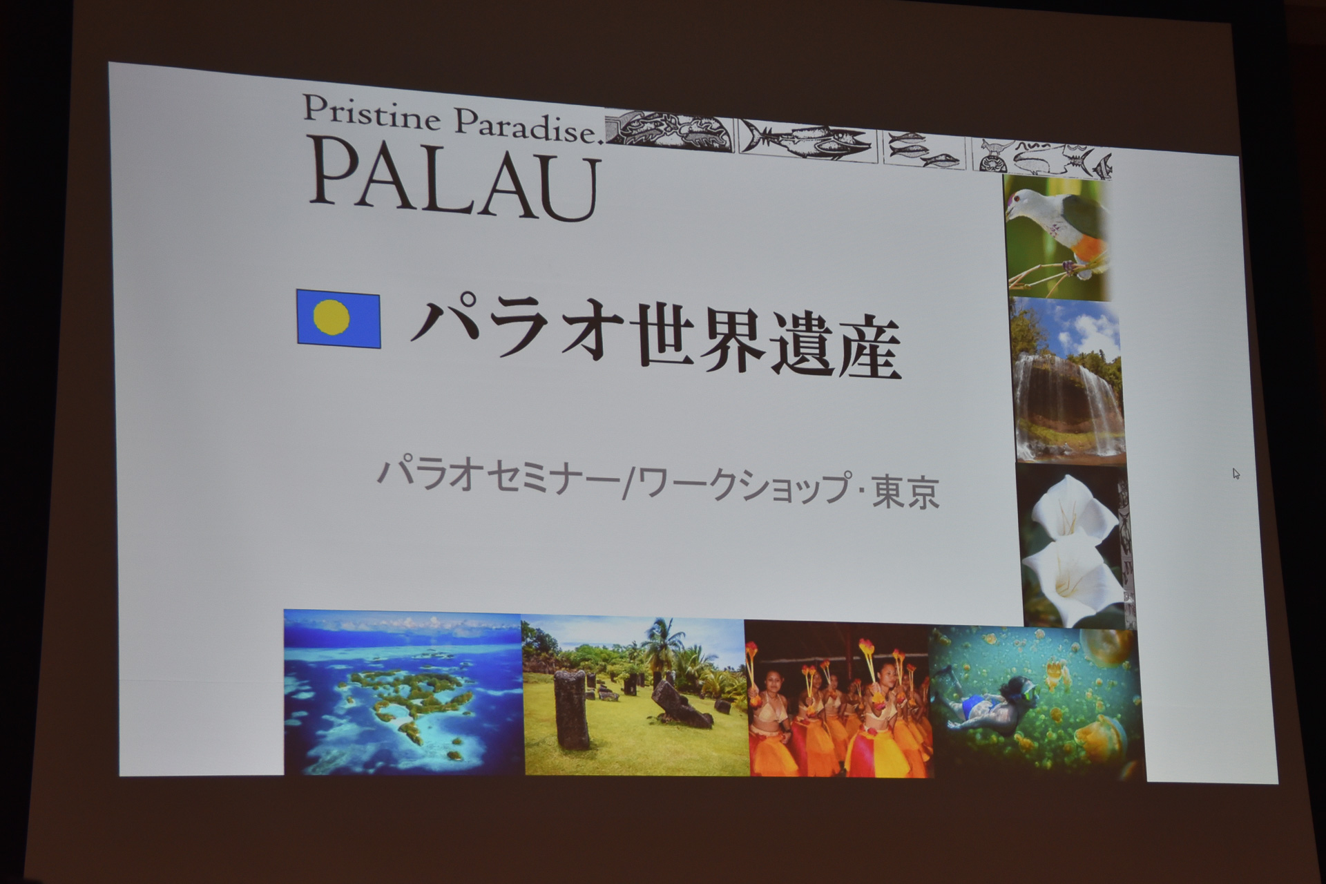 ワクチン接種率99％。パラオ政府観光局が現地最新情報と現状を報告