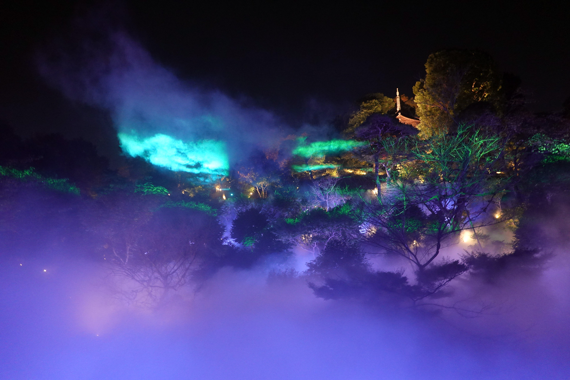 東京の夜空にオーロラが出現！ ホテル椿山荘東京の新たな絶景「森の