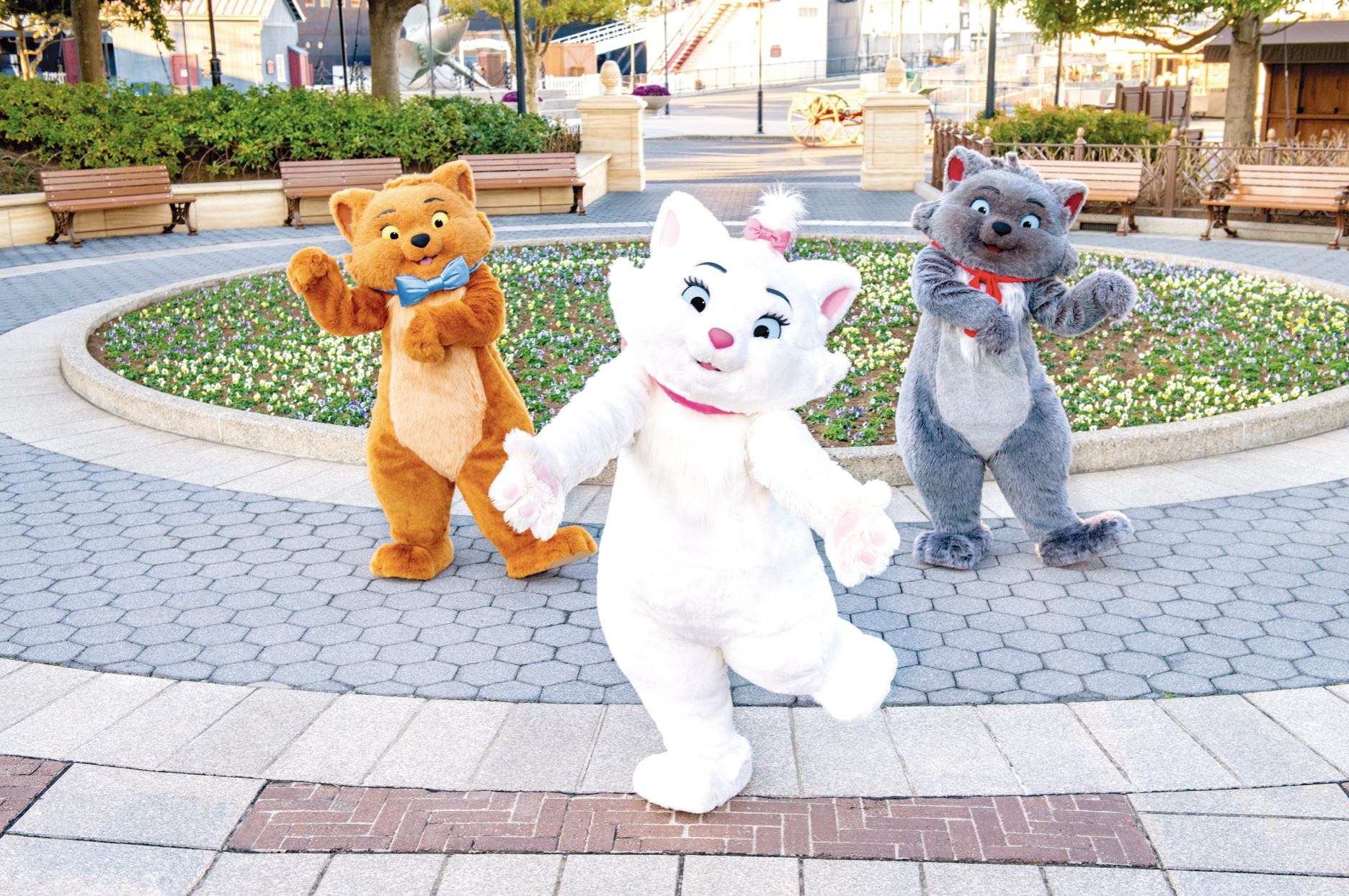 東京ディズニーリゾート 2月22日 猫の日 に子ネコ マリー のお散歩の様子を公開 3月発売の新メニューも トラベル Watch