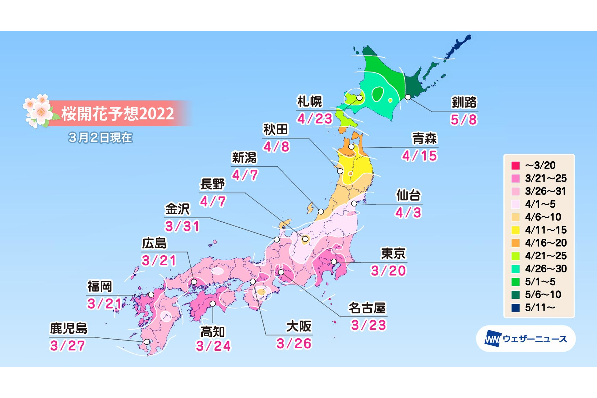桜開花は3月20日の東京から、西・東日本は平年並。ウェザーニューズ