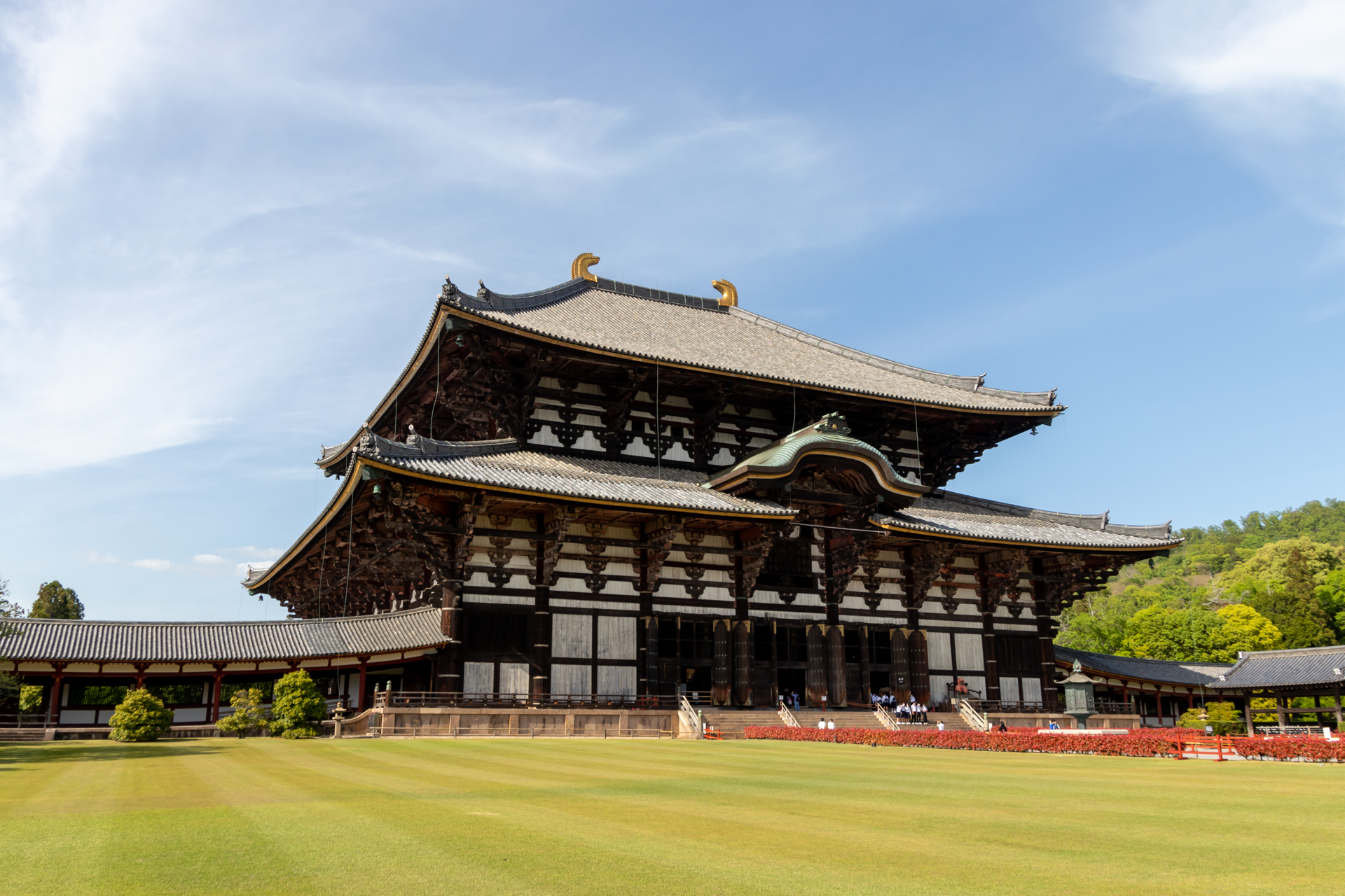 JR東海「いざいざ奈良」第1弾は東大寺・ならまちエリア。CMにも登場