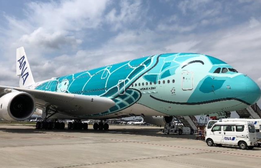 ANA、6月も「FLYING HONU」チャーターフライト/レストランを成田空港で