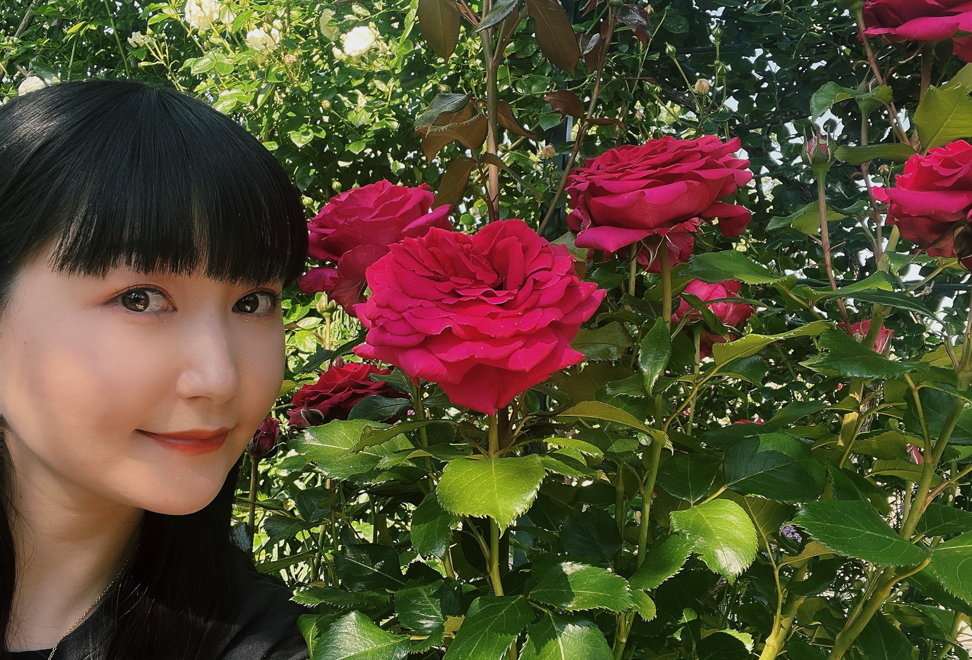 【ボーカリスト琴音の音楽旅】咲き誇る5月のバラ！ あしかがフラワーパークと佐野でリラックス日帰り旅 - トラベル Watch