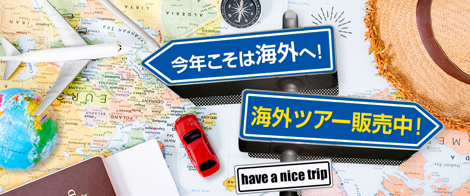 新品TRAVELER'S TO&FRO 2020年限定 セット ダークブルー TO&FRO