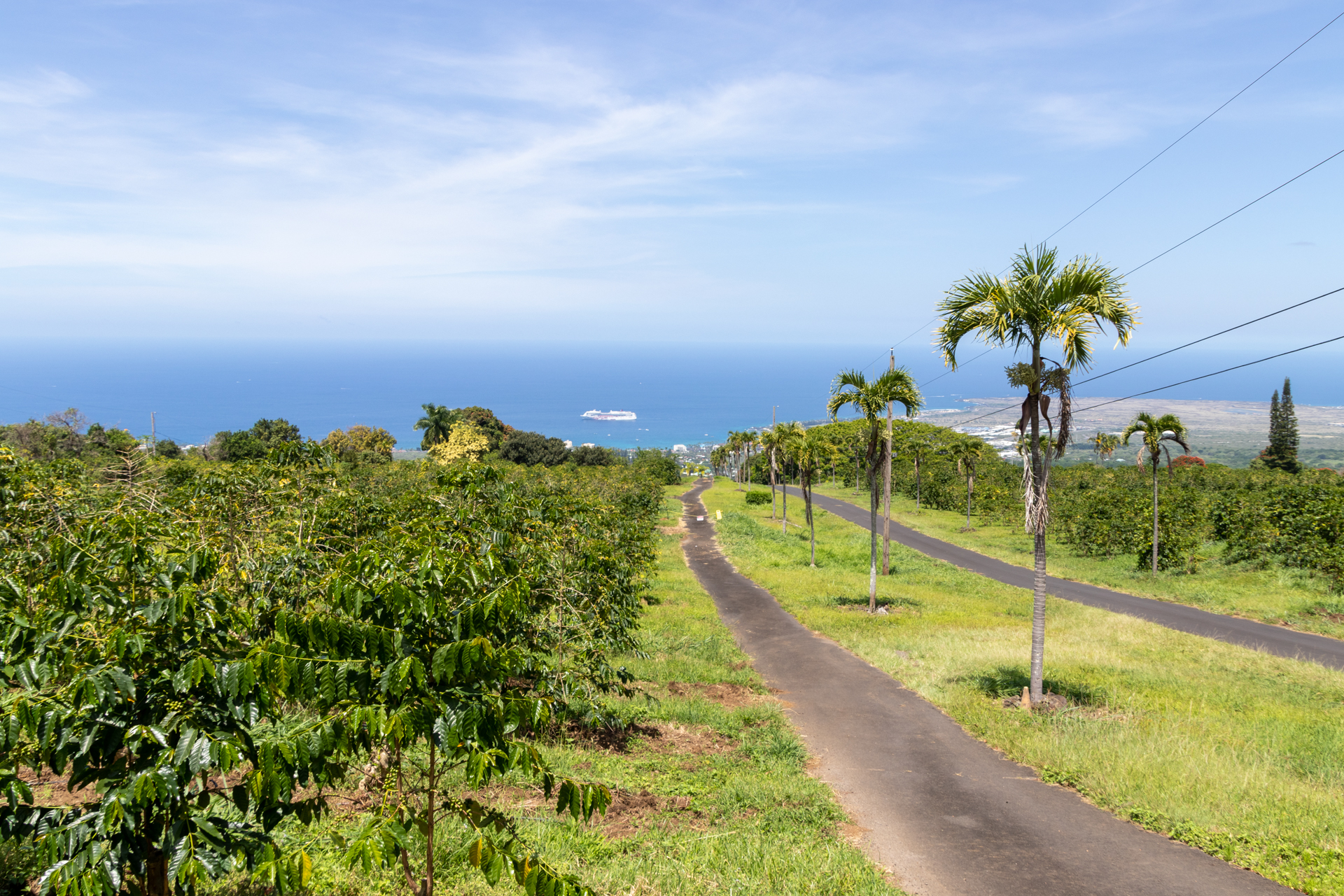 ハワイ島の名物コナコーヒー 本場の挽きたてが味わえる Ucc直営農園 の見学 焙煎体験ツアーに参加してきた トラベル Watch