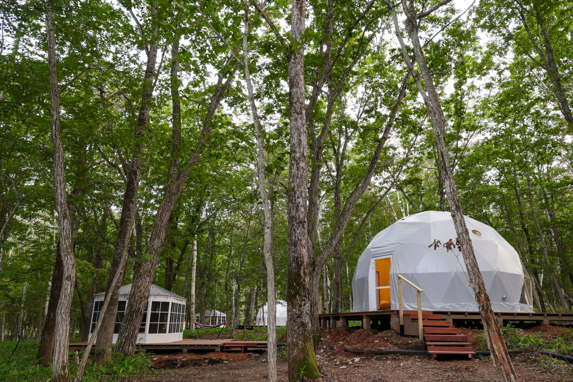 森の中のがっこう レゴジャパン LEGO（レゴ） 77052 どうぶつの森 広場でとたけけライブ