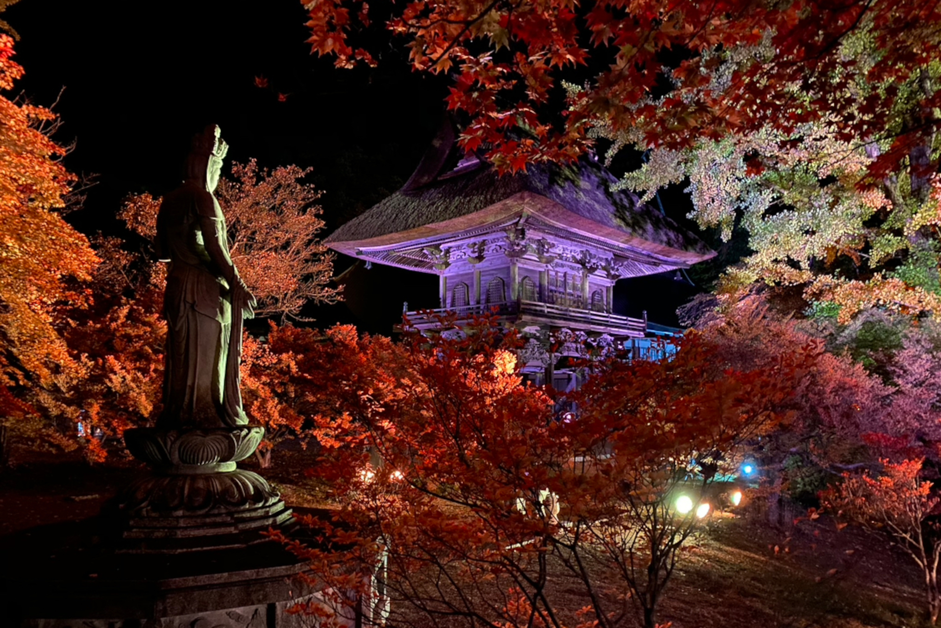 長野県大町市 霊松寺 で紅葉ライトアップ実施 県宝の山門とイチョウが幻想的に彩られる トラベル Watch