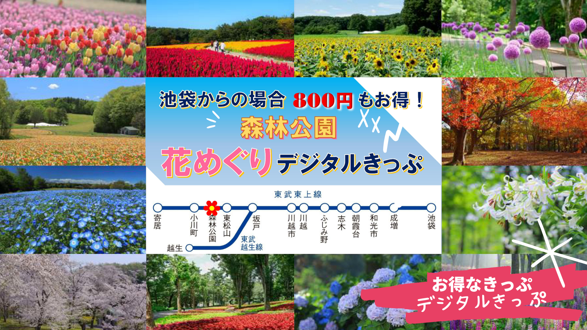 東武鉄道、「森林公園花めぐりデジタルきっぷ」を通年販売。電車/バス