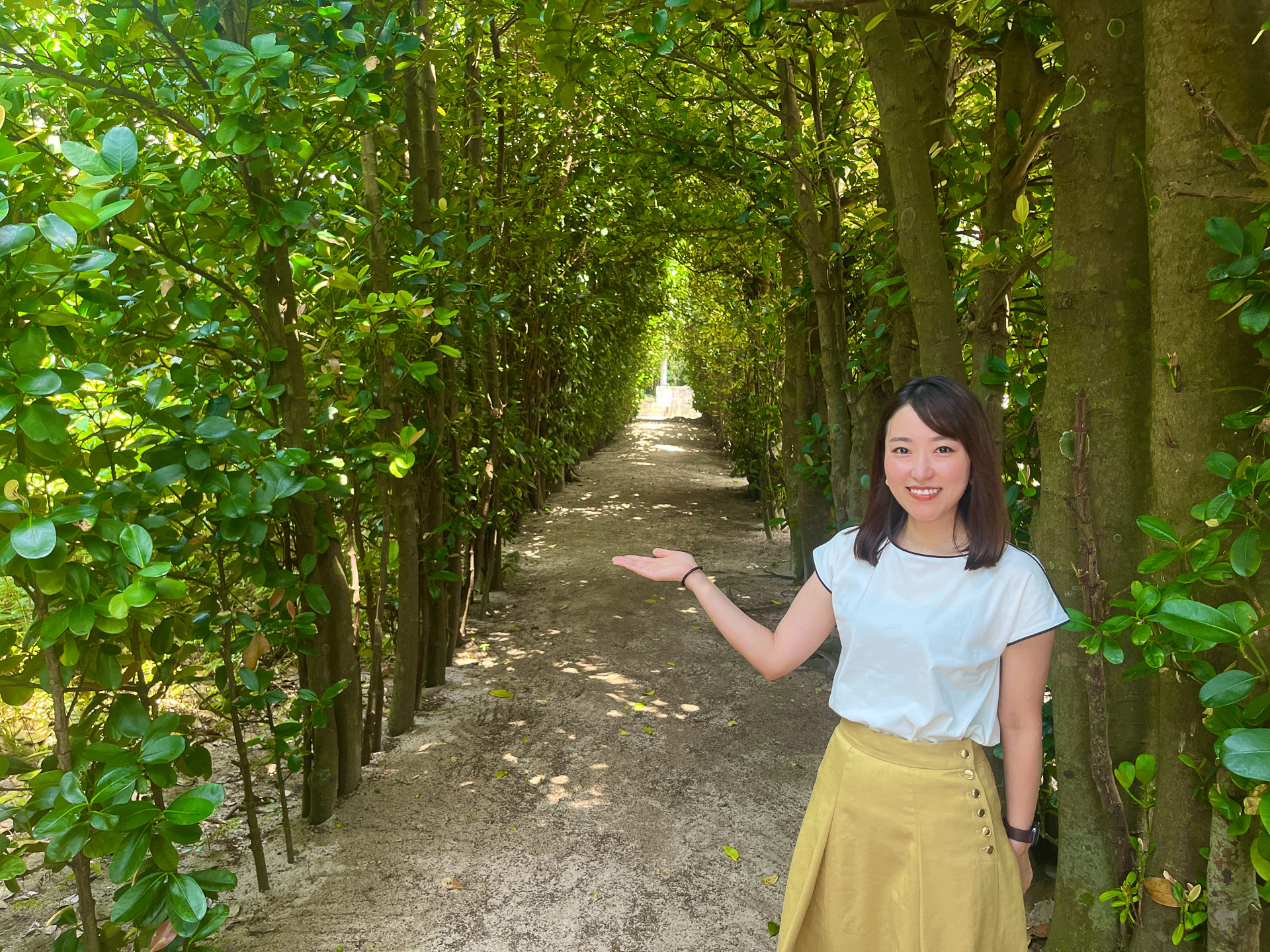 JALふるさとアンバサダー/応援隊に聞く地域愛】世界自然遺産 奄美大島