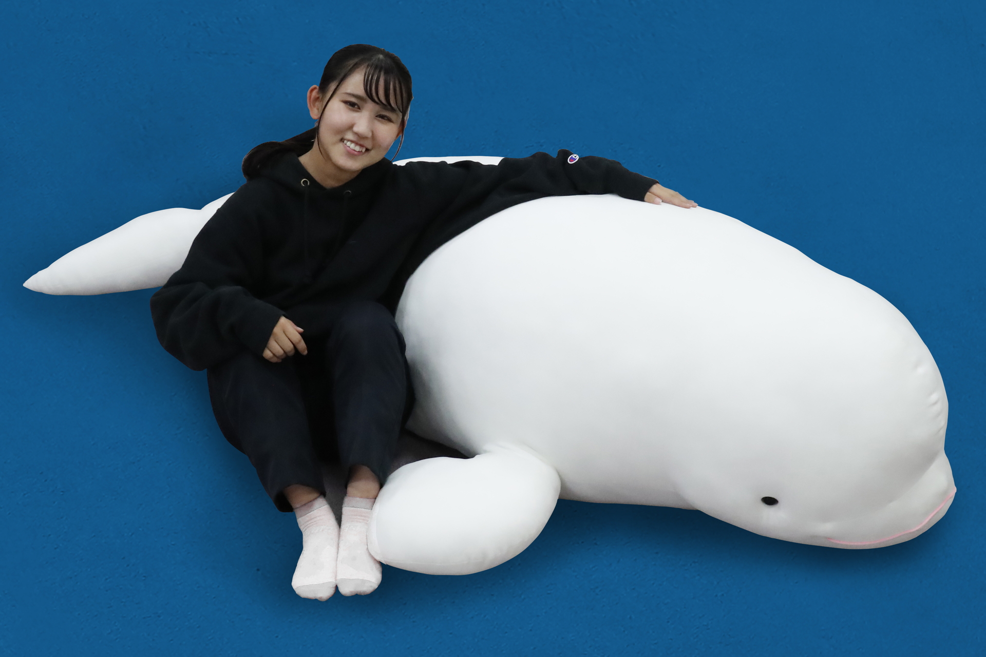 鴨川シーワールド、全長約190cmの「BIGベルーガぬいぐるみ」受注開始 - トラベル Watch