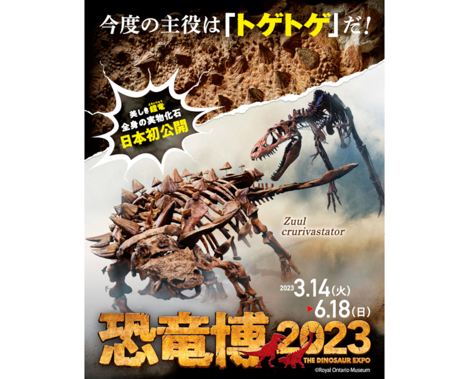 ●国立 科学博物館 上野 恐竜博 2023 期限付き 無料 観覧券 ペア