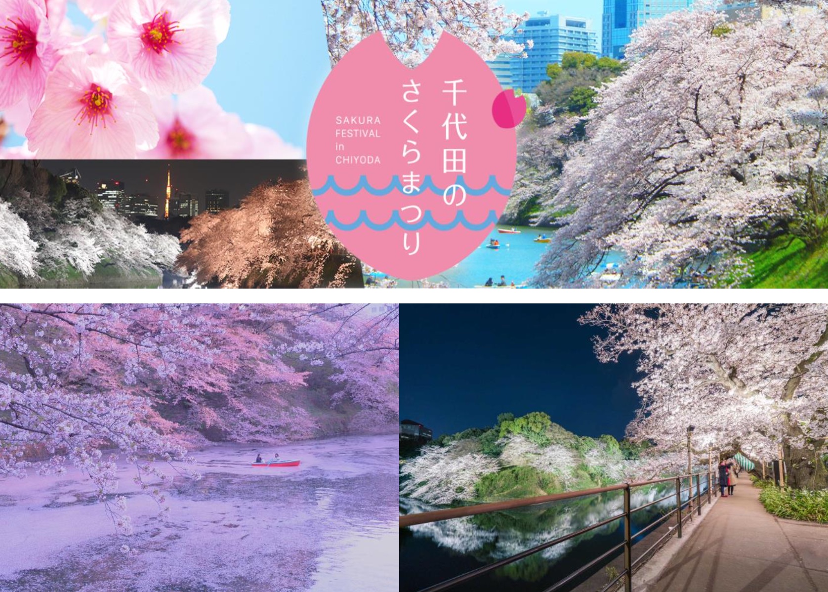 千代田のさくらまつり」3月24日～4月4日開催。千鳥ヶ淵の夜桜ライト