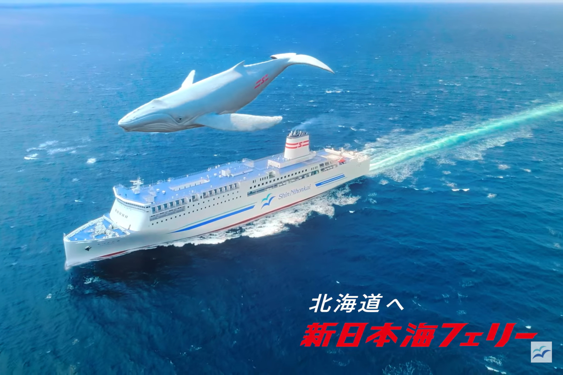 新日本海フェリー、新CM「見たことのない景色」編。船旅のときめきを海