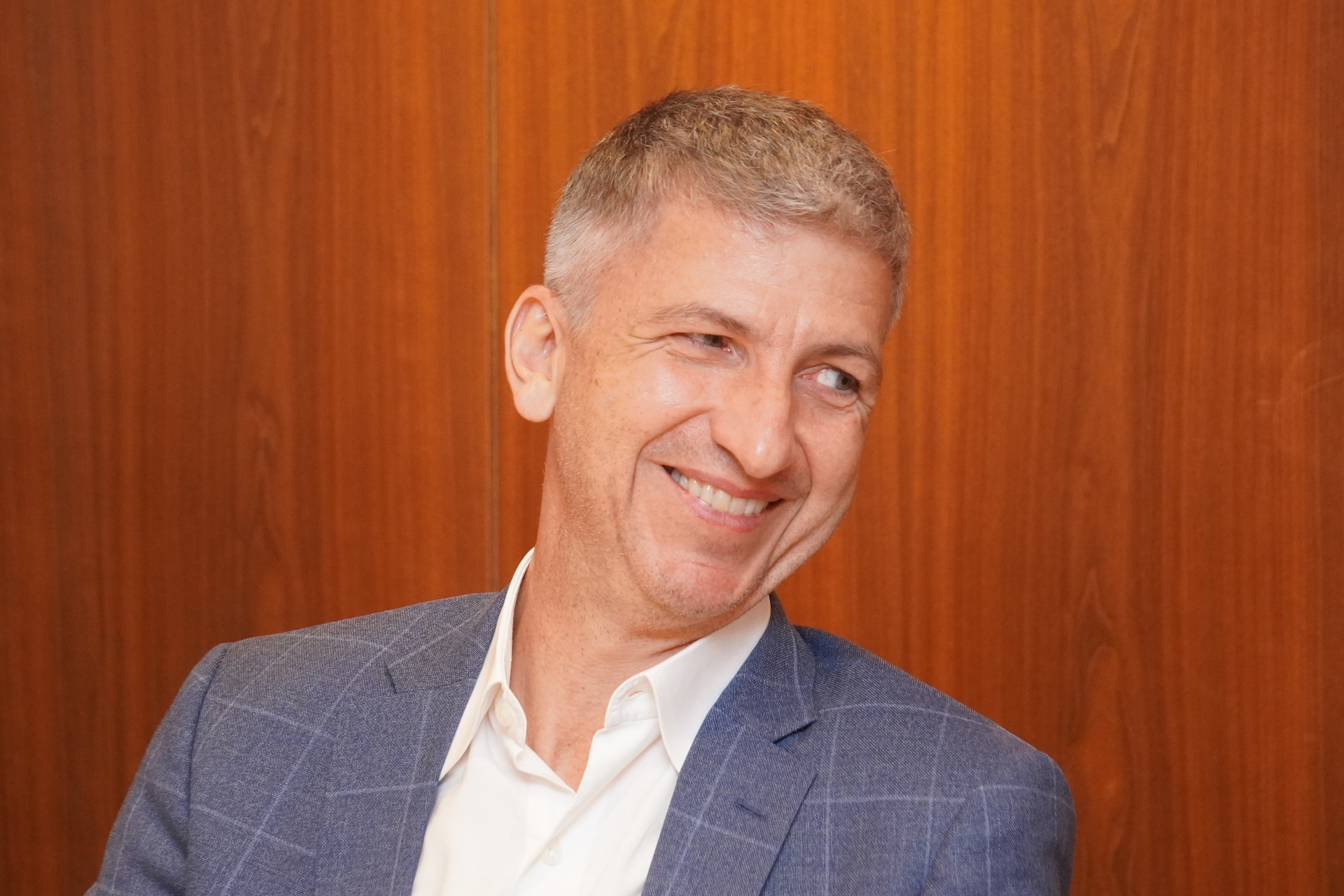 地中海の低木キョウチクトウ、広範囲に広がる常緑樹の葉