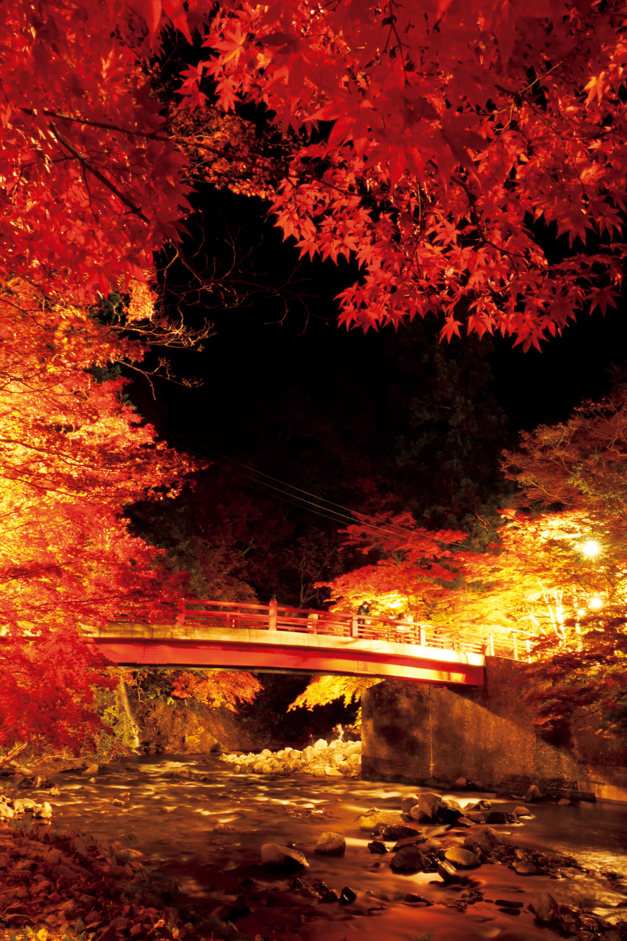 じゃらん、夜の紅葉絶景ランキング。1位は青森県「中野もみじ山