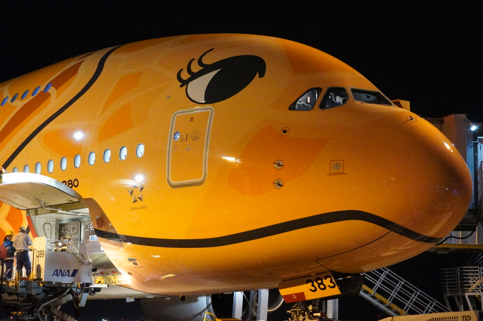 オレンジの“空飛ぶウミガメ”がホノルルへ出発！ ANAのエアバス A380型
