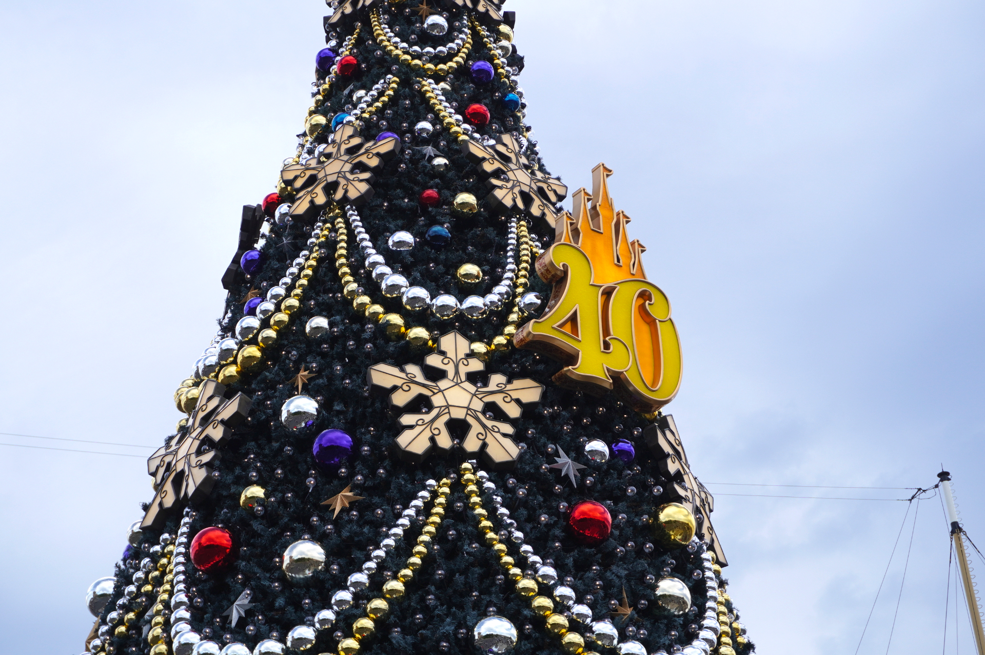 高さ15mの巨大ツリーが4年ぶりに復活！ 華やかなクリスマス装飾で