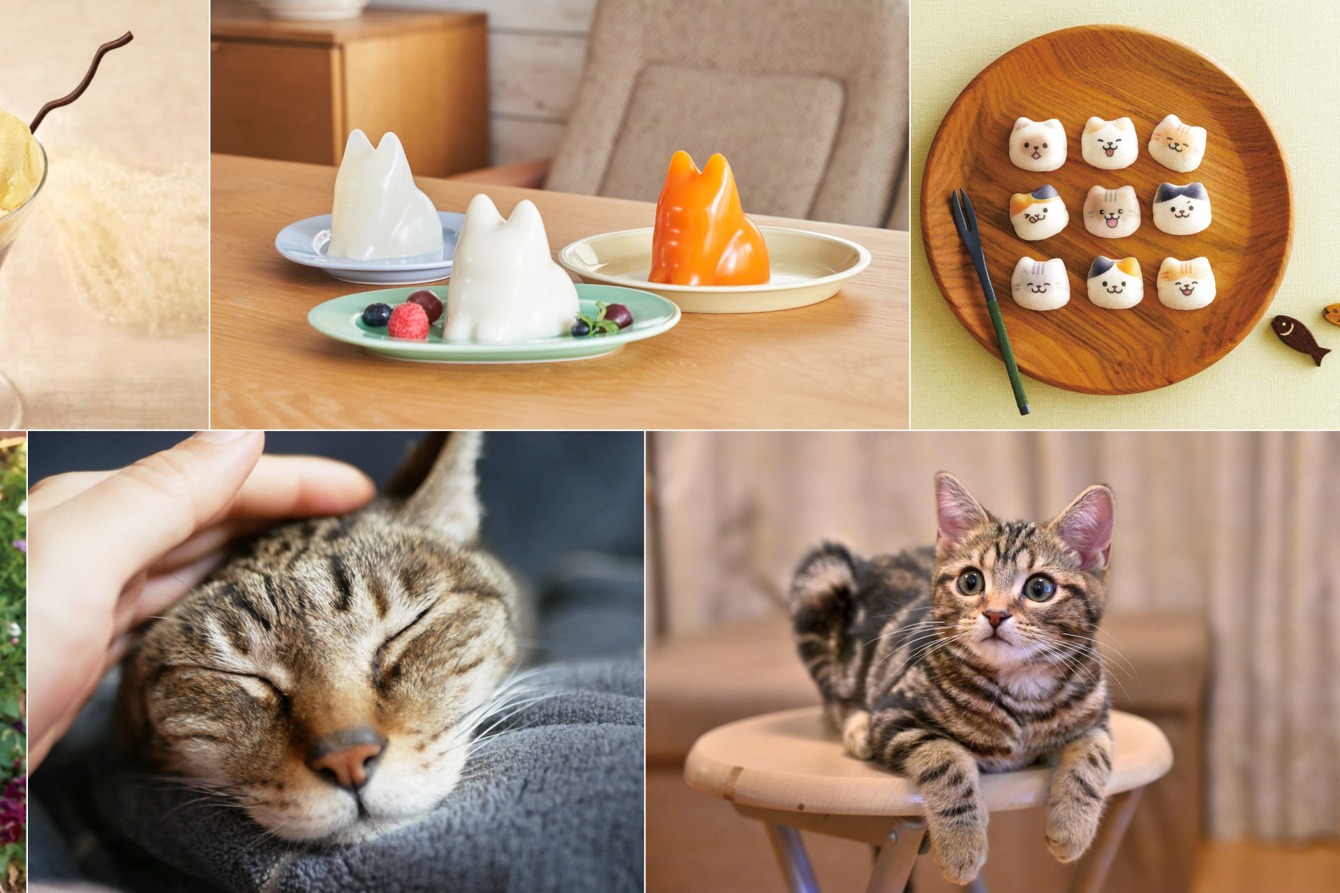 スカイツリーで猫の日にちなんだ「東京ソラマチ猫の日フェア」。猫