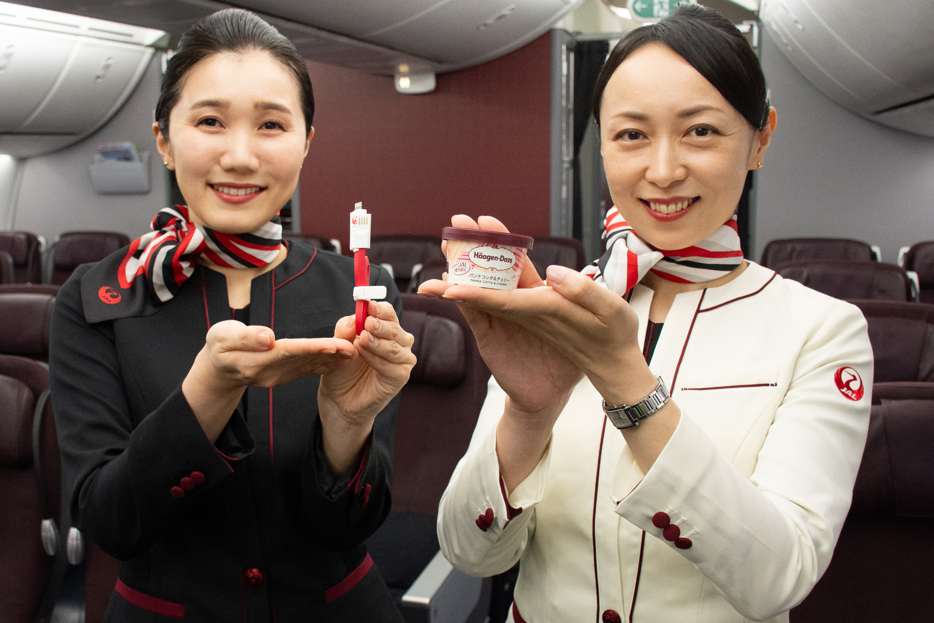 夏休みの羽田～石垣は国際線気分！ JALが787-8でハーゲンダッツや