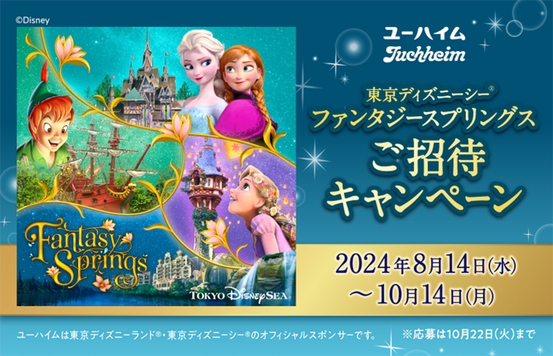 ディズニーリゾートパスポートチケット ペア価格☆10/20まで 10