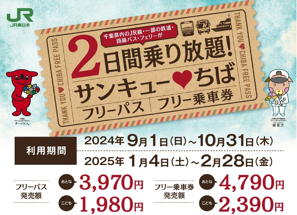 配送 JR東日本 3日間乗り放題フリーパス 共同購入