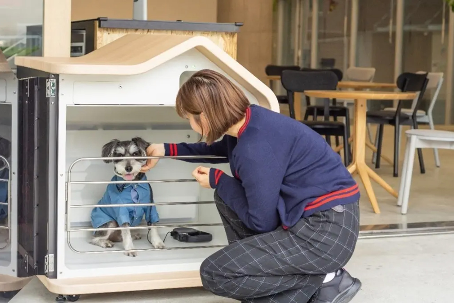 ぎゅうぎゅうペット・あまえんぼわんこ BOX ぎゅうぎゅうペット・あまえんぼわんこ BOX