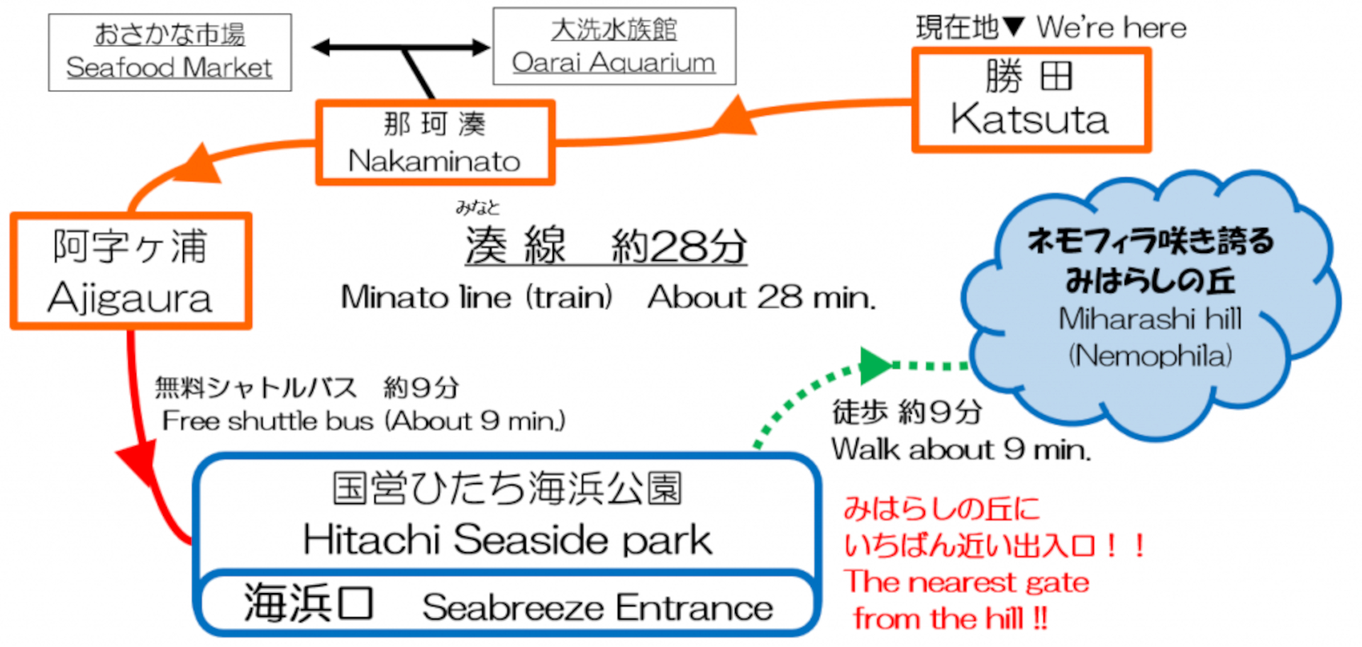 【ひたちなか海浜鉄道】勝田⇔阿字ヶ浦（平磯〜阿字ヶ浦間　代行バス　（裏）那珂湊 ひたちなか海浜鉄道、今年も無料の「ネモフィラシャトルバス」運行