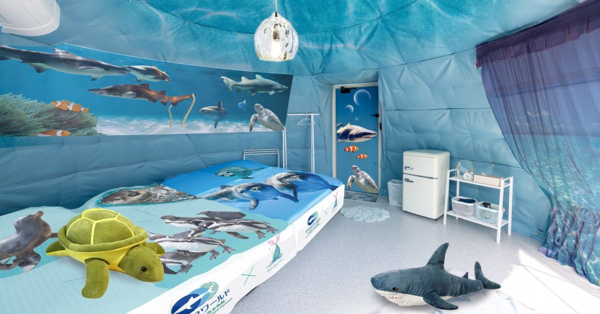 大洗のグランピング施設がアクアワールド大洗水族館とコラボ。海中で