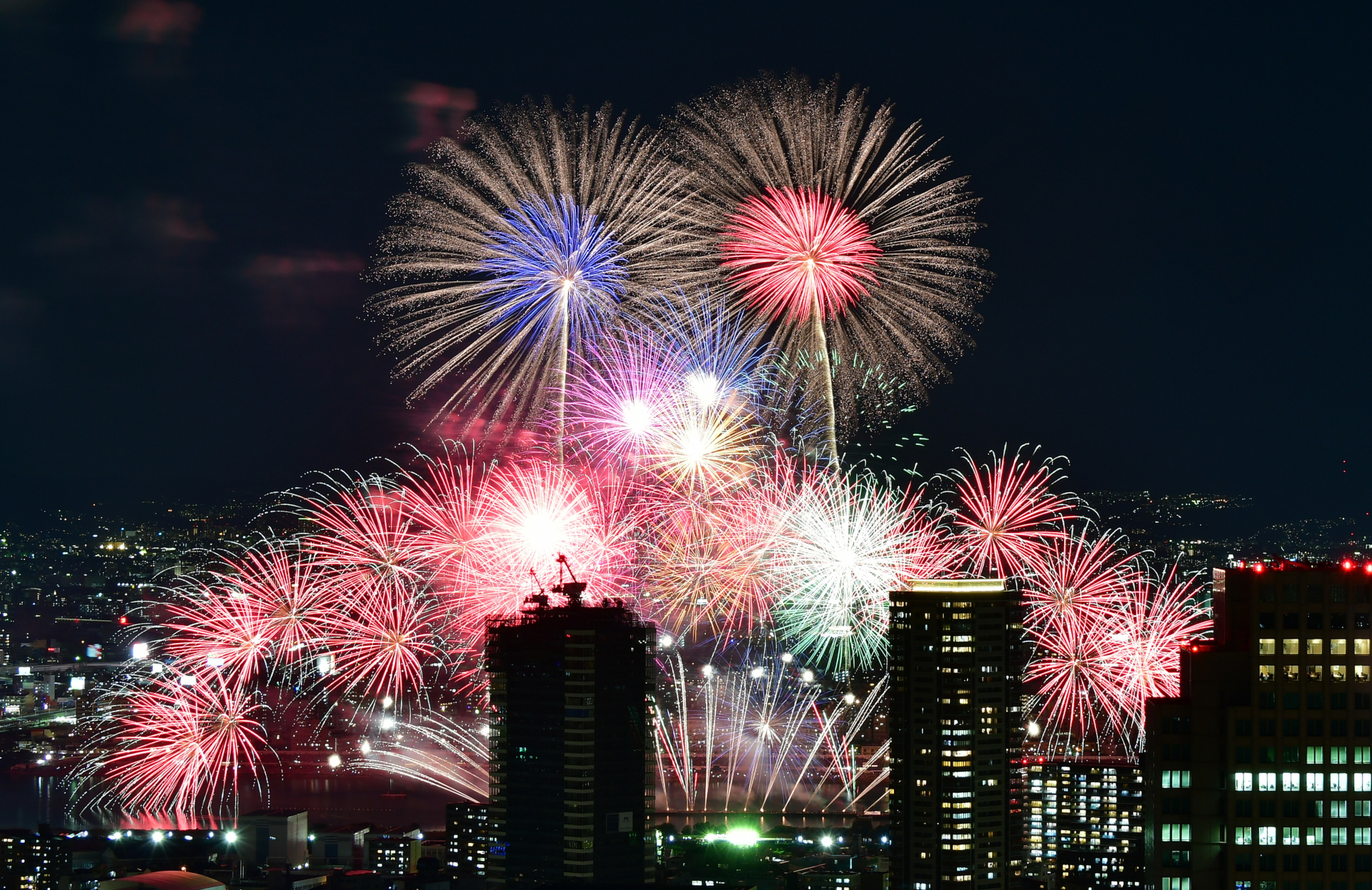 花火さん　専用 01.jpg