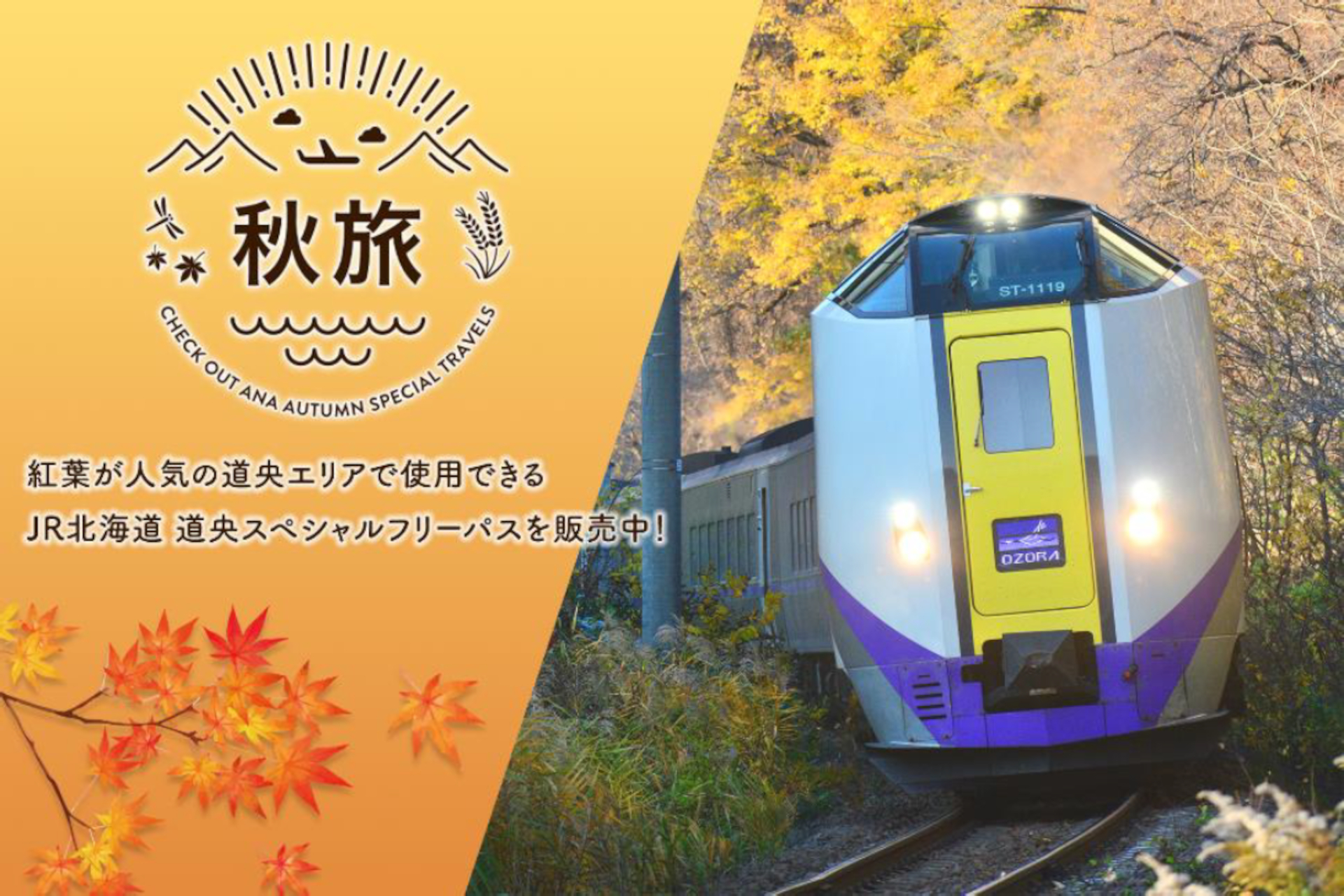 JR北海道の乗り放題きっぷ「道央スペシャルフリーパス」発売。ANA航空 