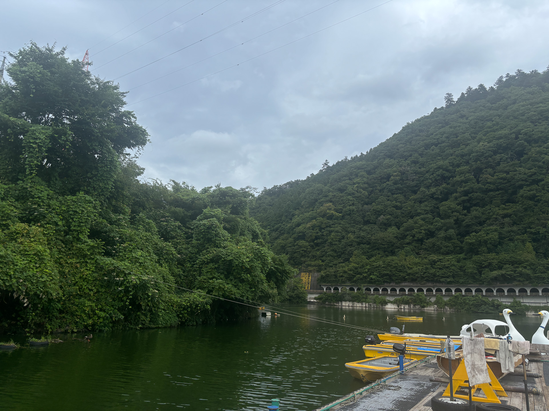 【ボーカリスト琴音の音楽旅】夏の相模湖日帰り旅、手こぎボートに湖畔のカフェで夏休みを満喫 - トラベル Watch