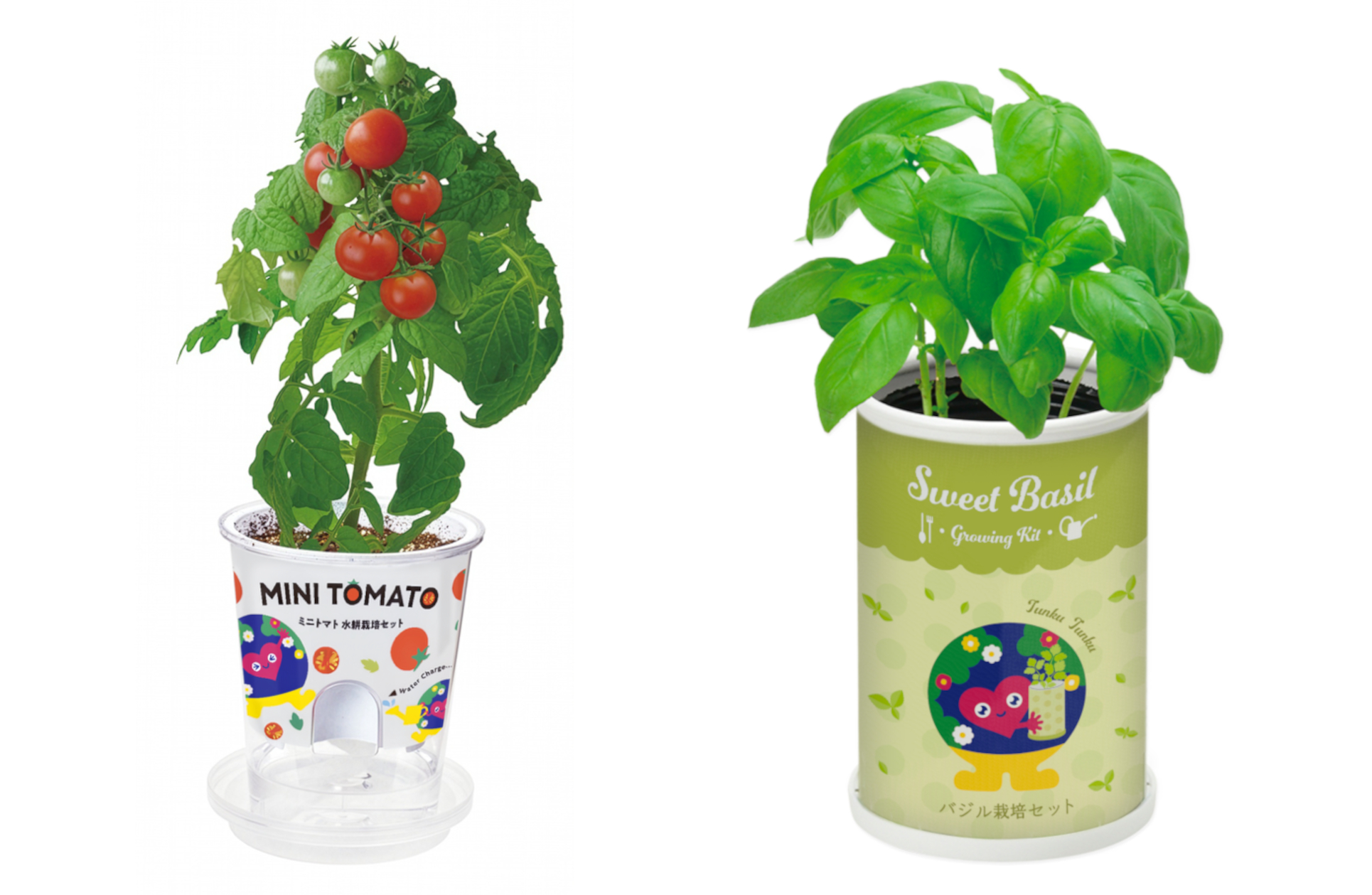 おうちで育てる「トゥンクトゥンク」栽培セット発売。次は横浜で2027年