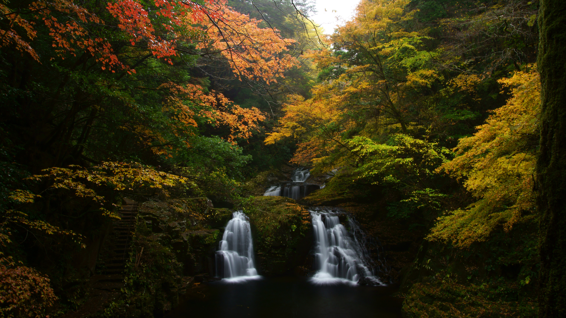 三重県名張市の名勝「赤目四十八滝」で紅葉はじまる。ピークは11月中旬