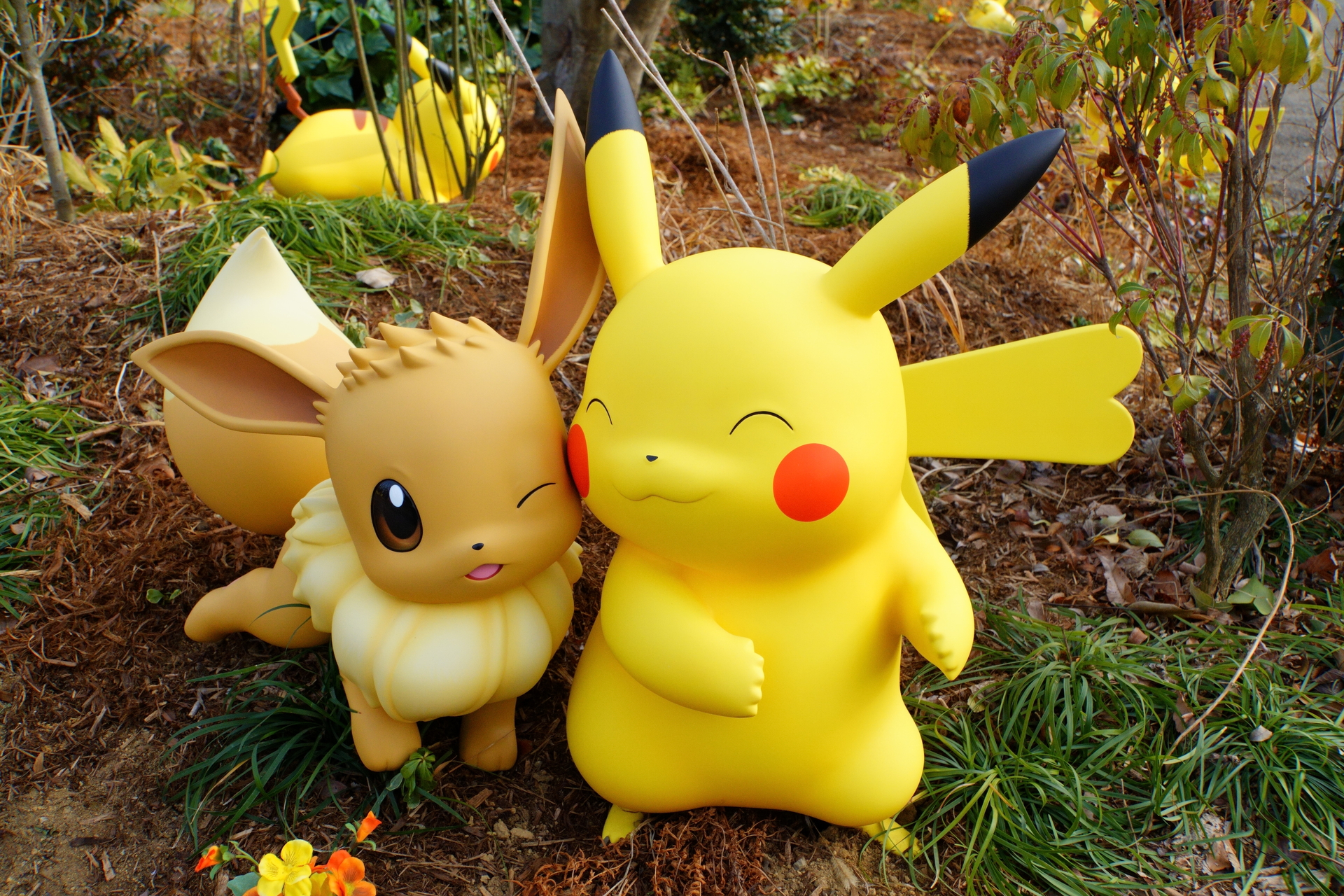 A Look Inside Pokémon Forest at PokéPark Kanto: Observe the Unique