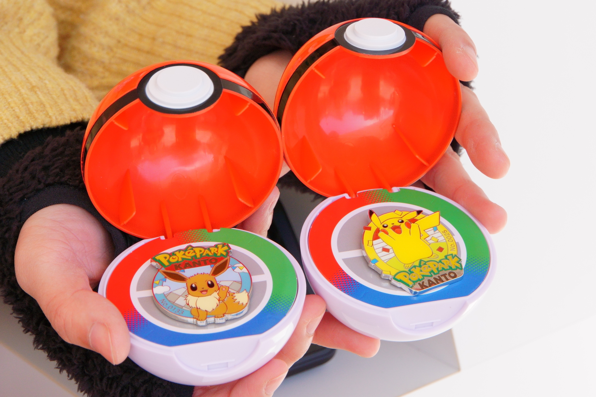 PokéPark Kanto: A Guide to Merchandise Available Without a Shop