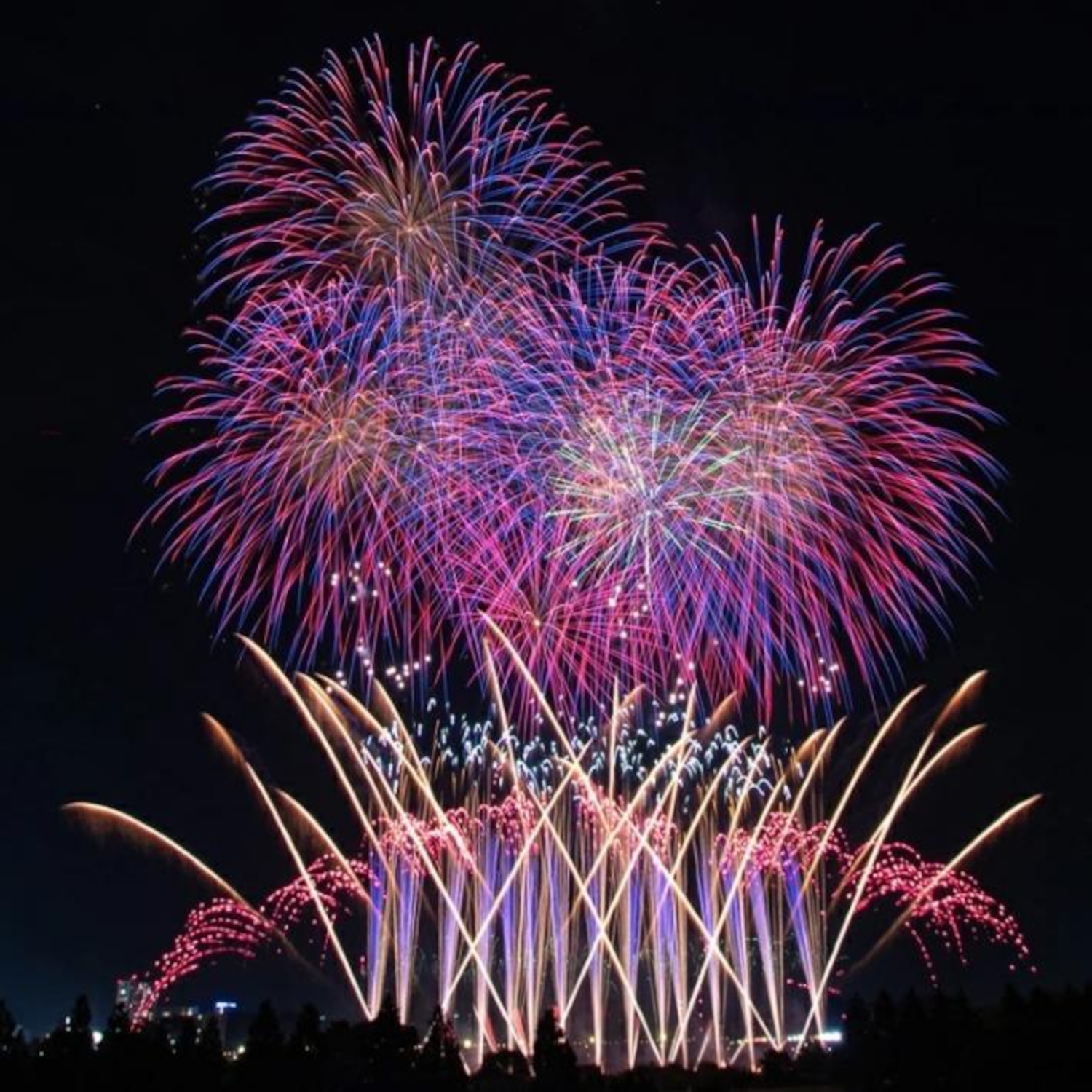 第71回とりで利根川大花火」8月8日開催。有料席チケットは6月16日から 第71回とりで利根川大花火」8月8日開催。有料席チケットは6月16日から