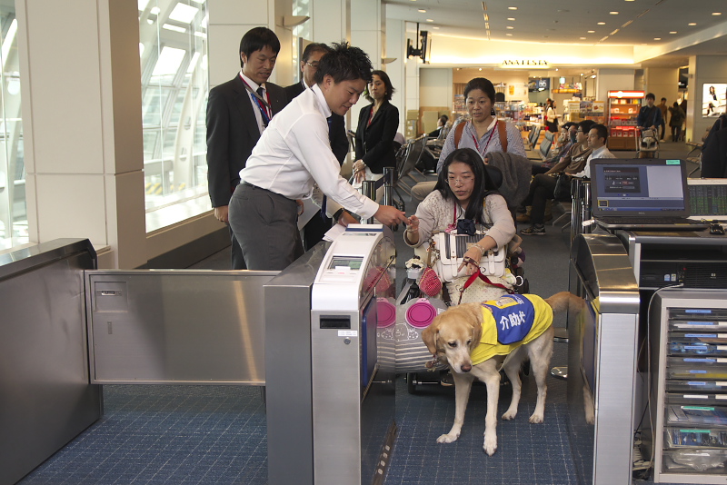 Ana 補助犬同伴での飛行機搭乗や機内設備を体験するツアーを実施 国際線ターミナルではana Jalの両caによる補助犬のデモンストレーション トラベル Watch